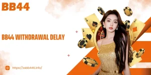 BB44 Withdrawal Delay – Causes And Quick Solutions Explained