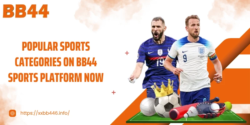 Popular sports categories on BB44 Sports platform now